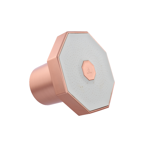 Filtered Showerhead