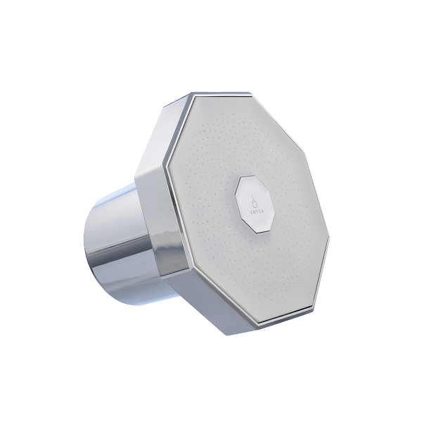 Filtered Showerhead